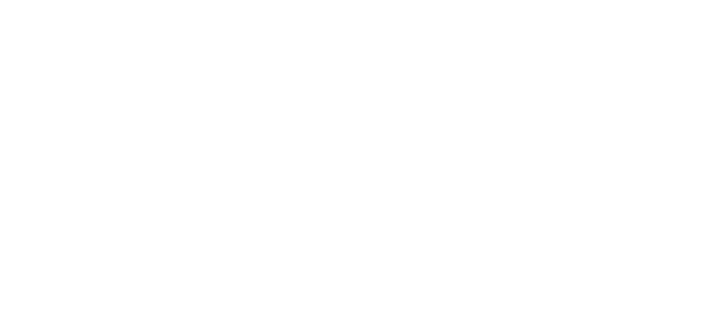 Modèles à suivre